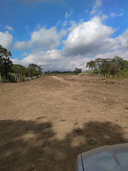 Negocio Captación Y Reciclaje De Materiales