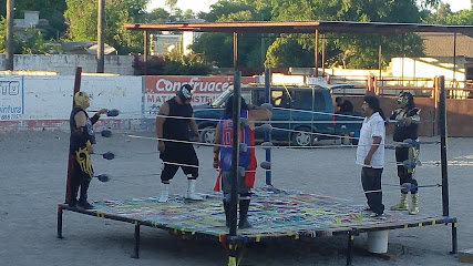 Negocio Lienzo Charro El Potrero