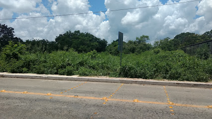 Negocio Punto Ecológico