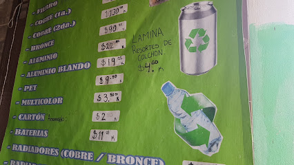 Negocio Recicladora Comonfort
