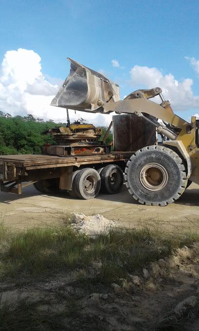 Negocio Recicladora Coronel
