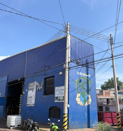 Negocio Recicladora Feregrinos Tepa