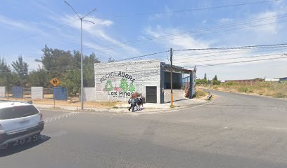 Negocio Recicladora “Los Pinos”