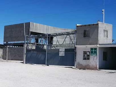 Negocio Reciclados Paso Del Norte