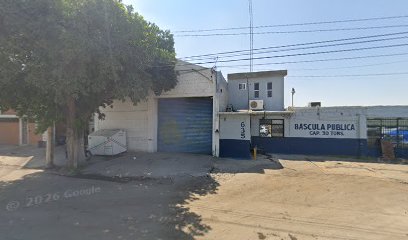 Negocio Ripesa Sa De Cv